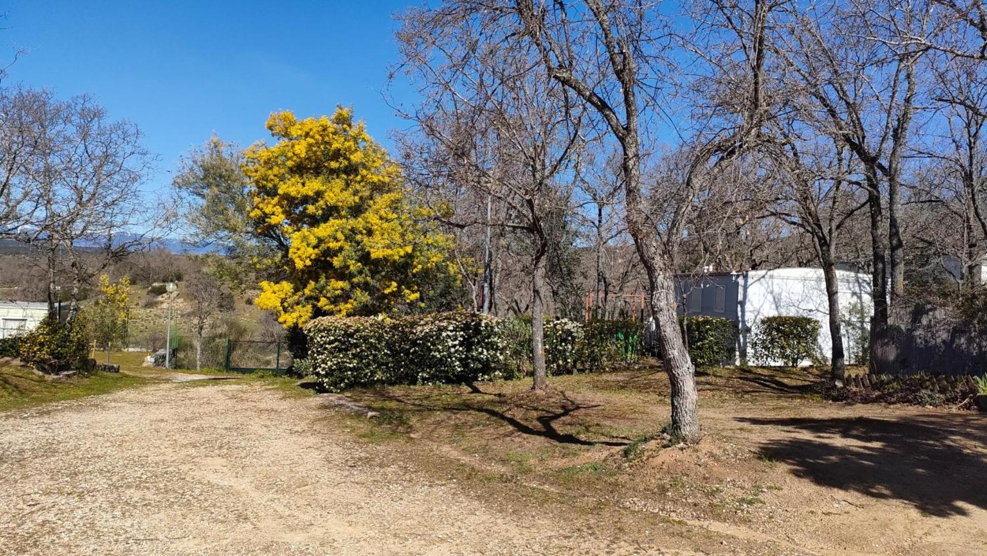 Camping De Cervera De Buitrago Luaran gambar