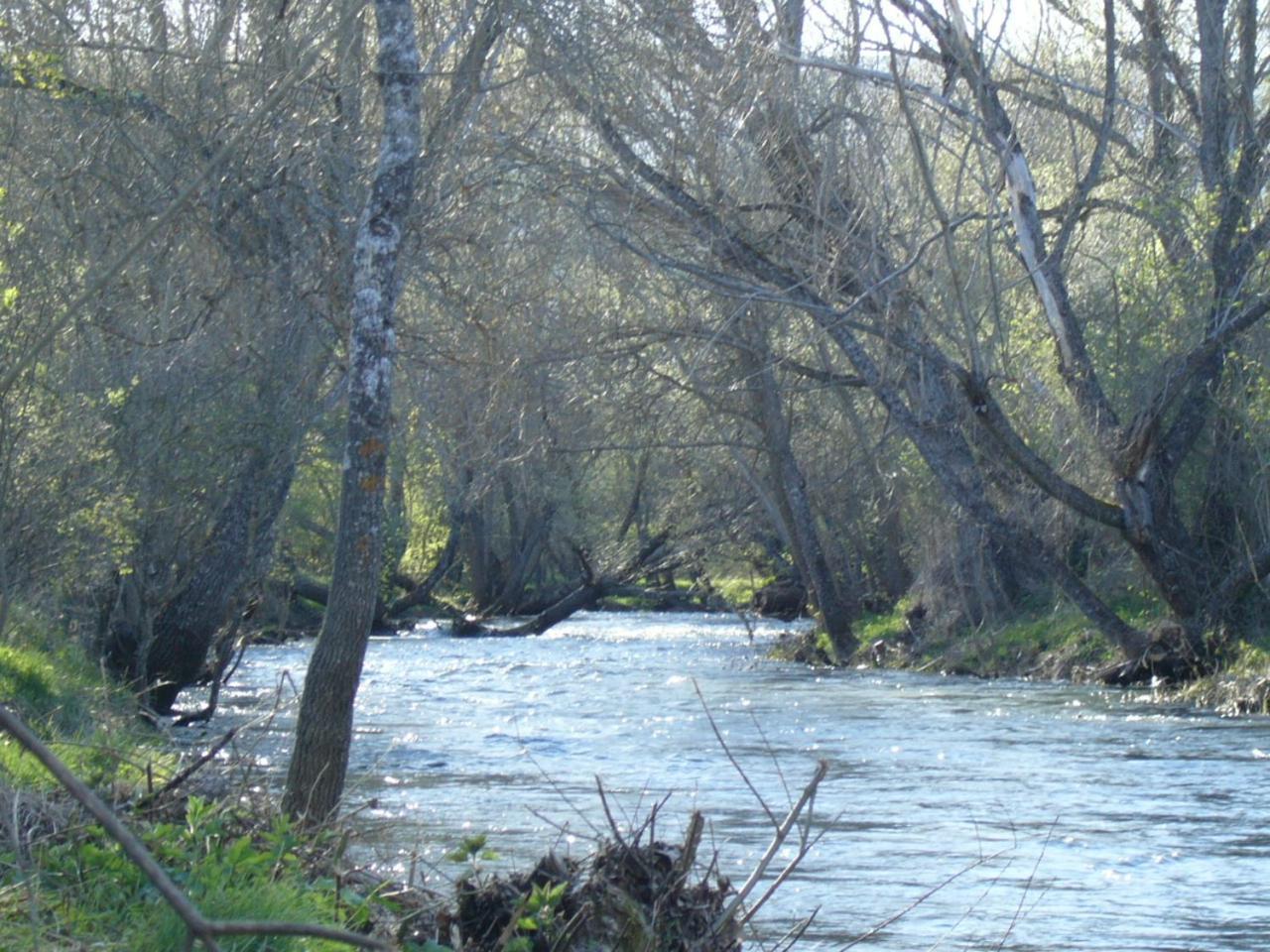 Camping De Cervera De Buitrago Luaran gambar