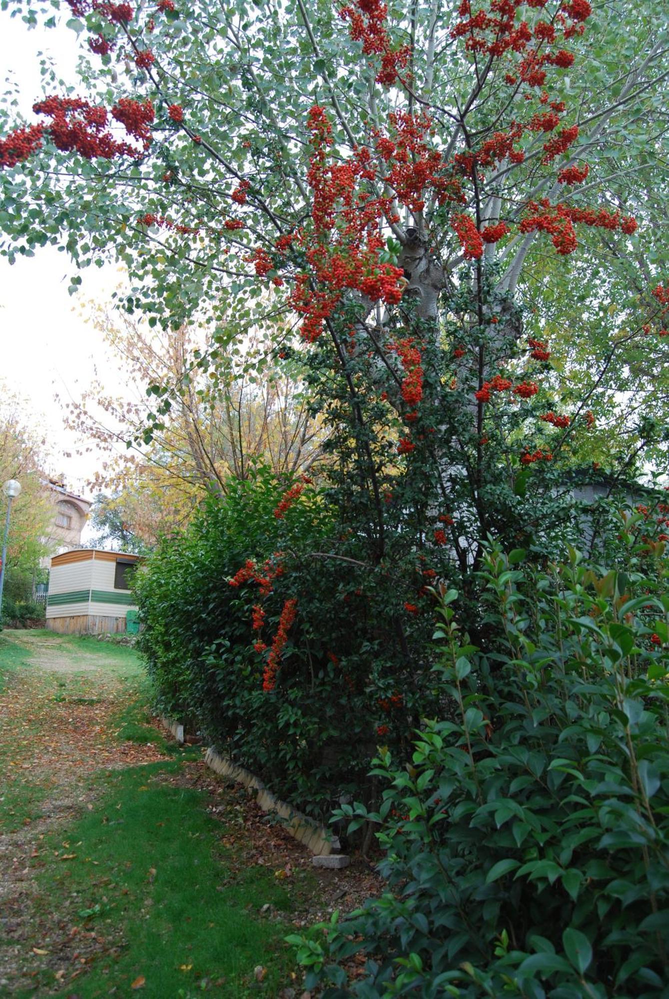 Camping De Cervera De Buitrago Luaran gambar